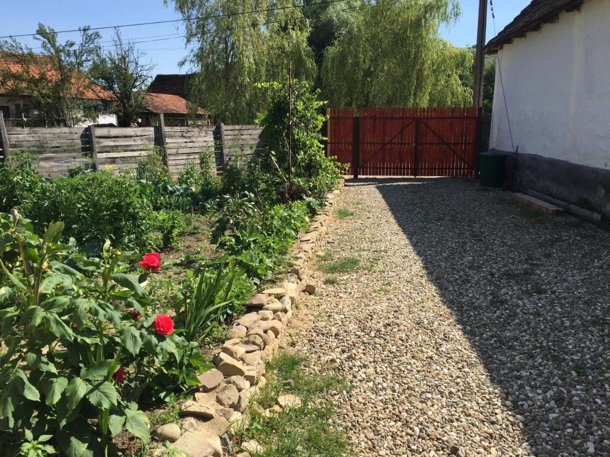 Pensiune Agroturistica Hanna Oklánd Kültér fotó