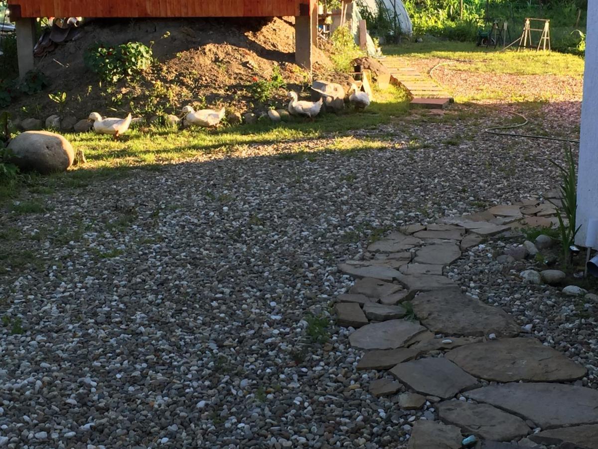 Pensiune Agroturistica Hanna Oklánd Kültér fotó
